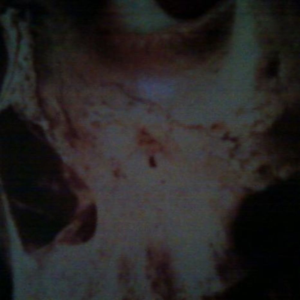 Meet your Posher, Thomas